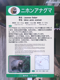 動物園　english hp upload.jpg