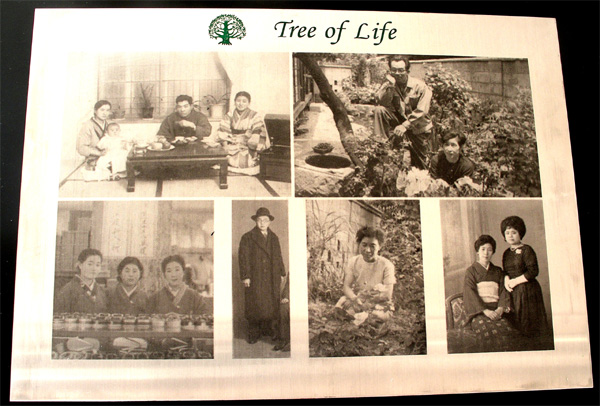 tree of life upload.jpg